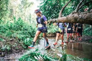 BIB: 
                            <button type="button" onclick="openModal(25515947)" class="btn btn-primary btn-sm float-right btn-popup" data-toggle="modal" data-target=".modal-high-quality">
                        <i class="fas fa-shopping-cart"></i> Add to Cart
                    </button>
                                            <button type="button" onclick="isThisMe(25515947, true)" class="btn btn-success btn-sm float-right btn-popup btn-isme hidden" data-toggle="tooltip" data-placement="bottom" title="นี่คือรูปของคุณใช่ไหม คลิกที่นี่เพื่อเอาเข้าอัลบั้ม">
                        <i class="fas fa-plus"></i> Add to album
                    </button>
                    <button type="button" onclick="isThisMe(25515947, false)" class="btn btn-warning btn-sm float-right btn-popup btn-isnotme hidden">
                        <i class="fas fa-ban"></i> Remove from album
                    </button>